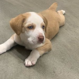 Meet your Posher, Sheena